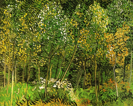 Was macht Van Goghs Saintes-Maries-de-la-Mer so besonders?