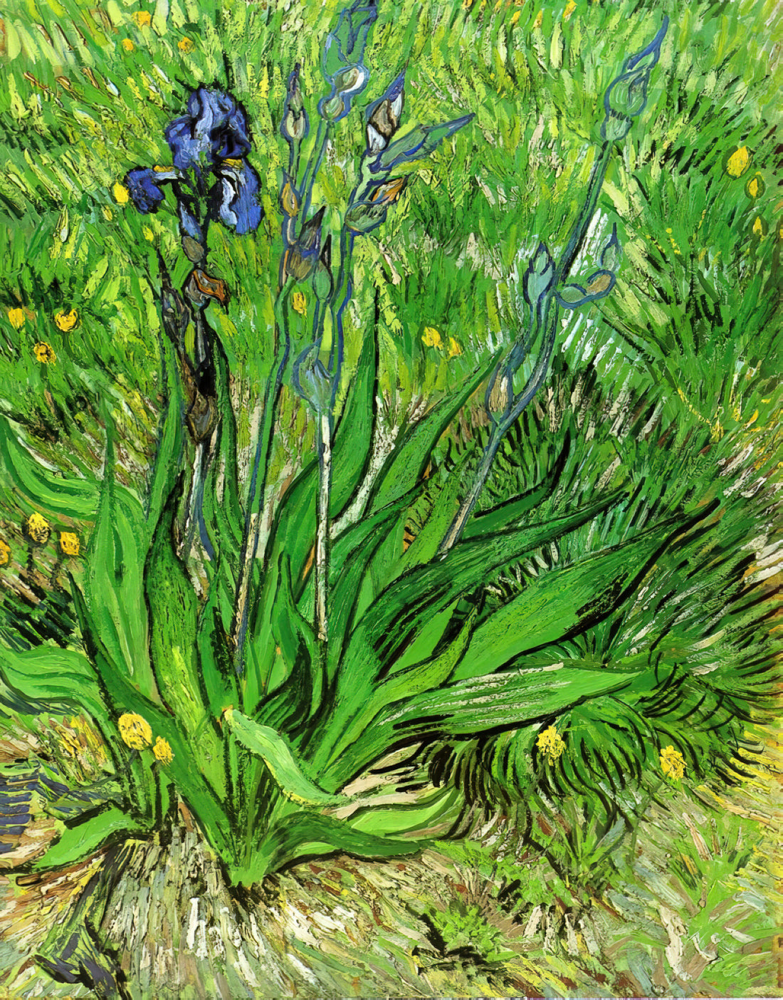 Warum malte Vincent van Gogh Sonnenblumen? Eine tiefe Analyse