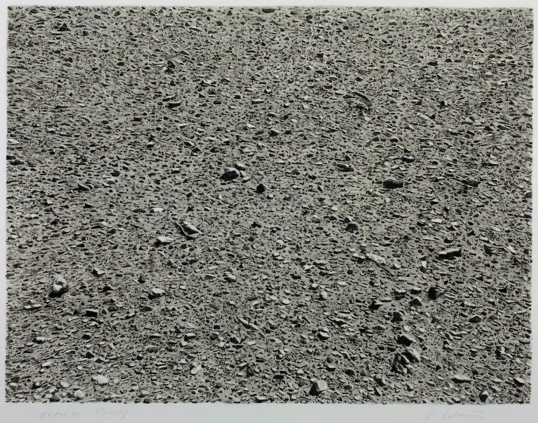 What Makes Vija Celmins’ *Desert* (1975) a Masterpiece of Minimalist Precision?