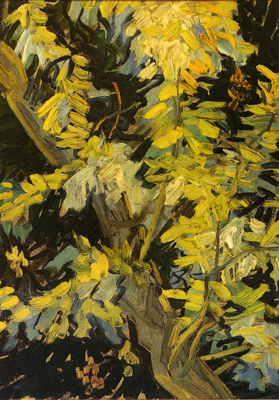 Wer war Willemina van Gogh? Die vergessene Schwester von Vincent van Gogh