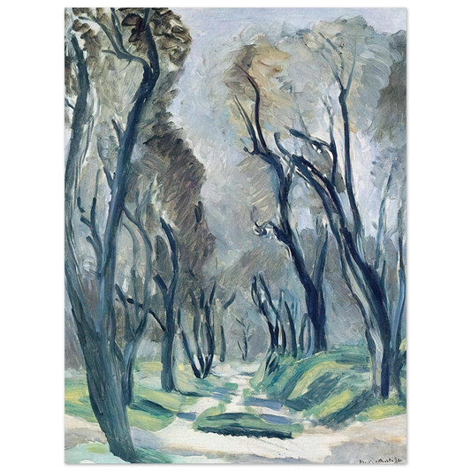 Henri Matisse - AVENUE OF OLIVE TREES 1952  75x100 cm / 30x40inches Fine Art Poster