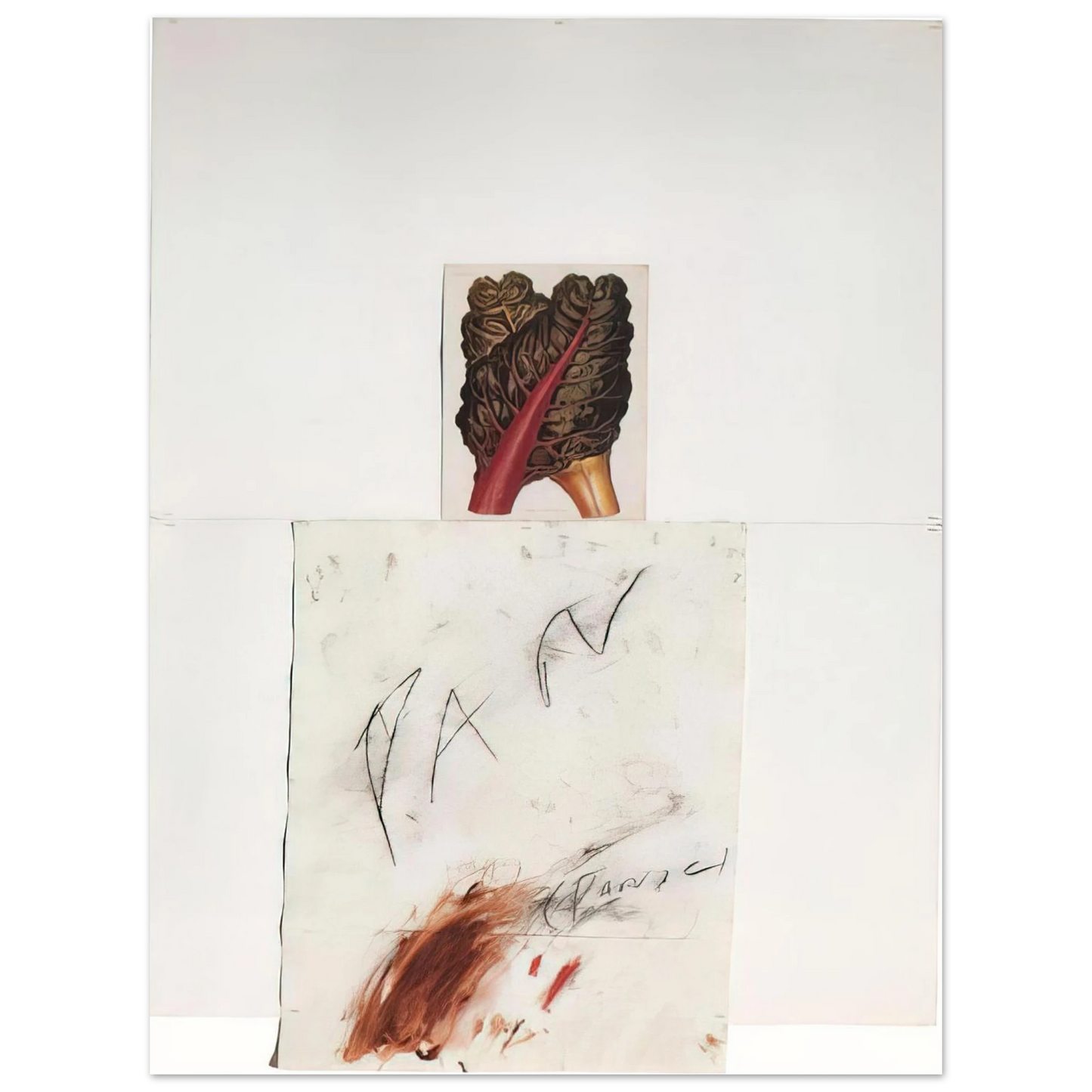Cy Twombly - Pan  75x100 cm / 30x40inches Fine Art Poster