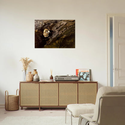 INLAND SHELL - Andrew Wyeth Brushed Aluminum Print - 70x100 cm / 28x40 inches | Andrew Wyeth Aluminum Print | Andrew Wyeth Prints
