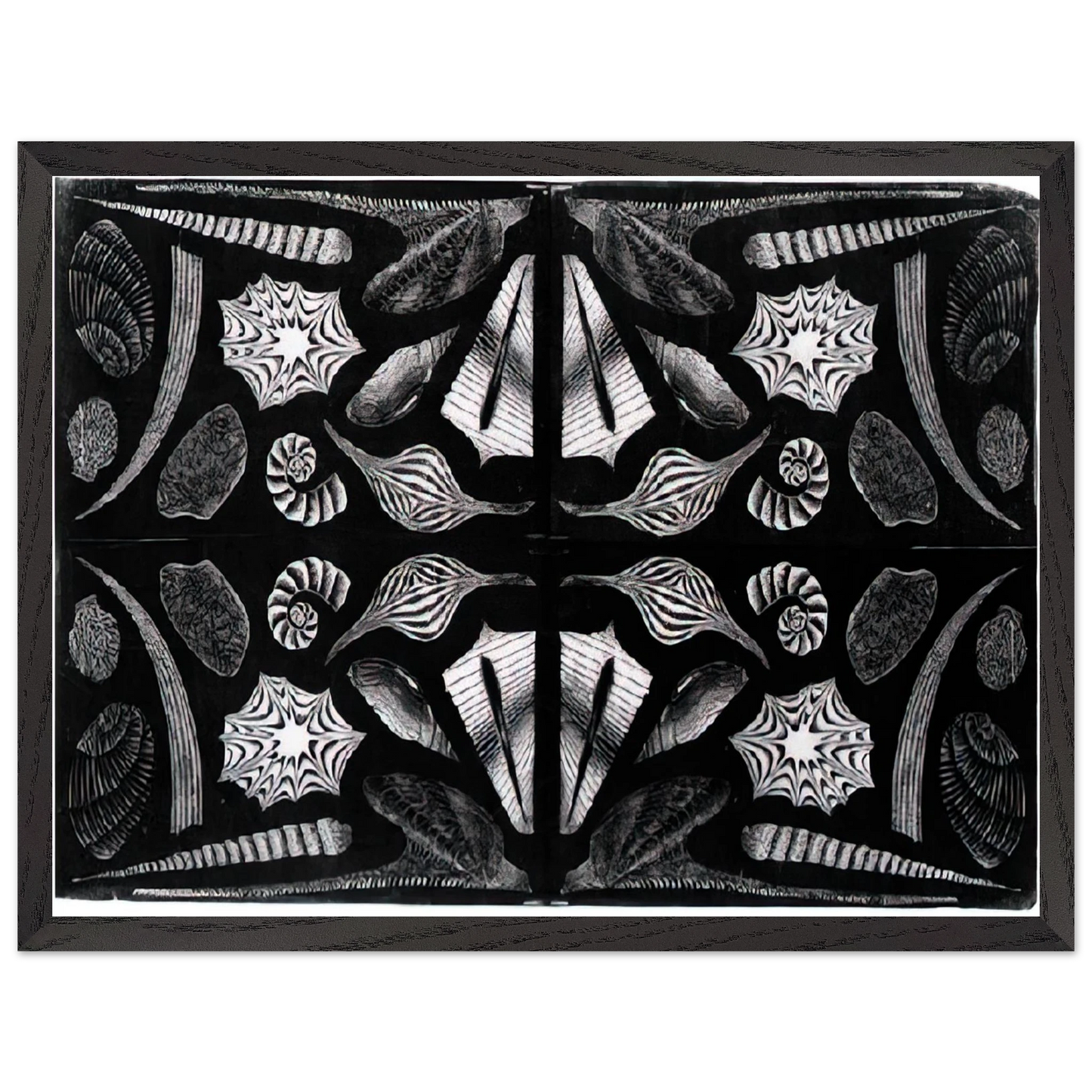 MC Escher - ESCHER (5) Wall Art - 30x40 cm / 12x16 inches - Fine Art Poster-canvas - -