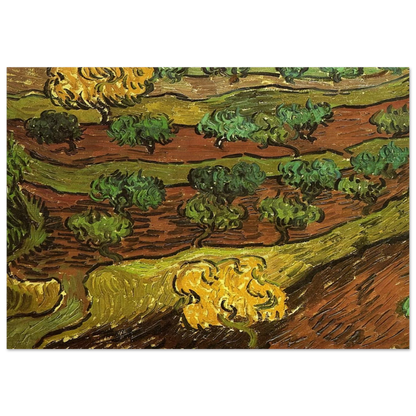 Olive Trees against a Slope of a Hill - Vincent van Gogh Brushed Aluminum Print - 70x100 cm / 28x40 inches | Vincent van Gogh Aluminum Print | Vincent van Gogh Prints