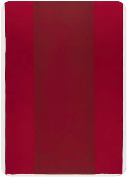 Canto XIV By Barnett Newman Pack of 10 Post Cards | Barnett Newman Post Cards | A6 (10.5 x 14.8 cm) - 4.1 x 5.8 inches