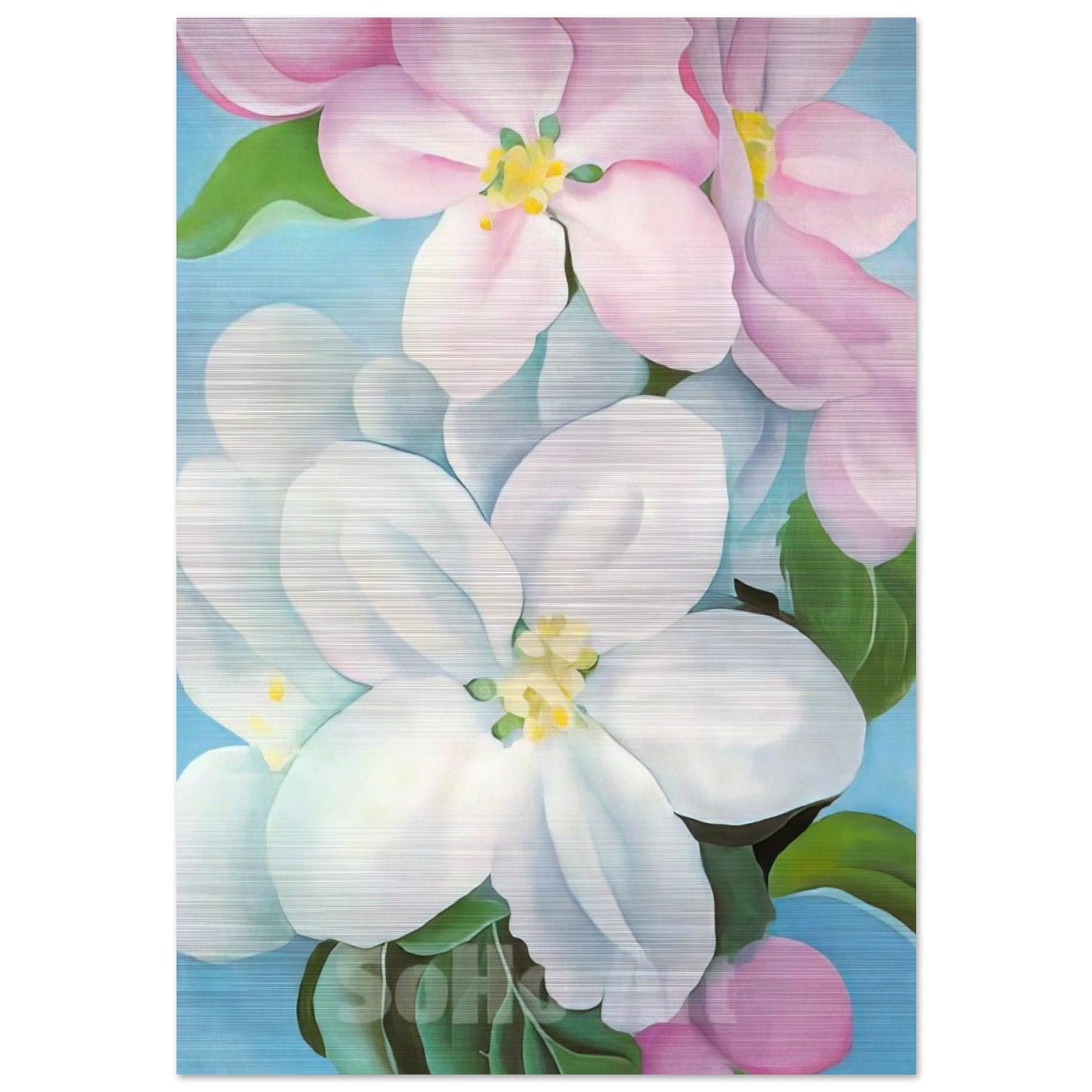Apple Blossoms - Georgia O'Keeffe Brushed Aluminum Print - 70x100 cm / 28x40 inches | Georgia O'Keeffe Aluminum Print | Georgia O'Keeffe Prints