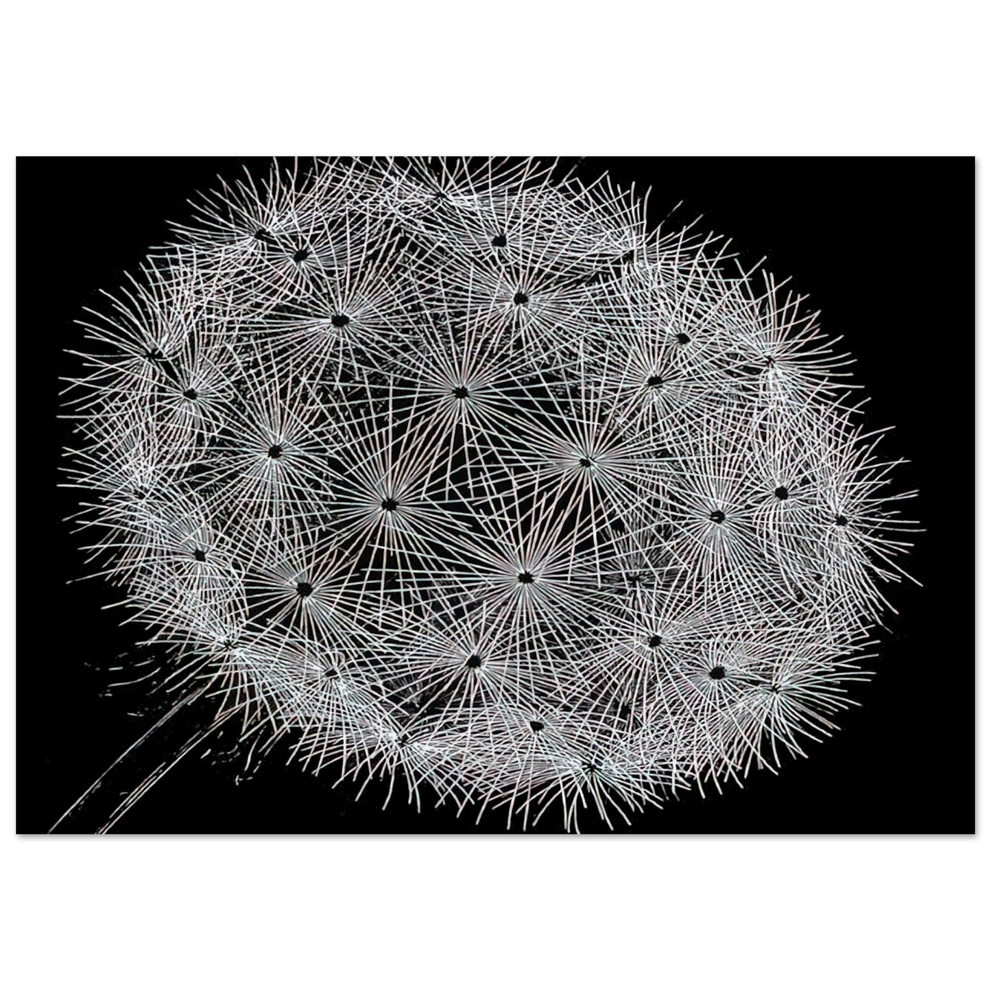 MC Escher - BLOWBALL II Wall Art - 21x29.7 cm / 8x12" - Premium Wooden Framed Poster With Fine Art Paper-canvas - Wood frame