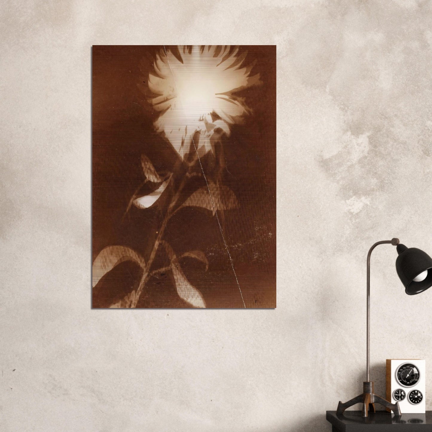 Untitled [flower] - Laszlo Moholy-Nagy Brushed Aluminum Print - 70x100 cm / 28x40 inches | Laszlo Moholy-Nagy Aluminum Print | Laszlo Moholy-Nagy Prints
