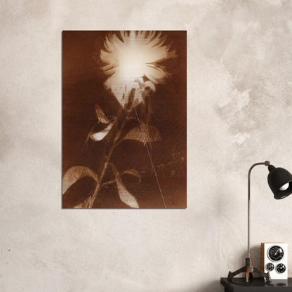 Untitled [flower] - Laszlo Moholy-Nagy Brushed Aluminum Print - 70x100 cm / 28x40 inches | Laszlo Moholy-Nagy Aluminum Print | Laszlo Moholy-Nagy Prints