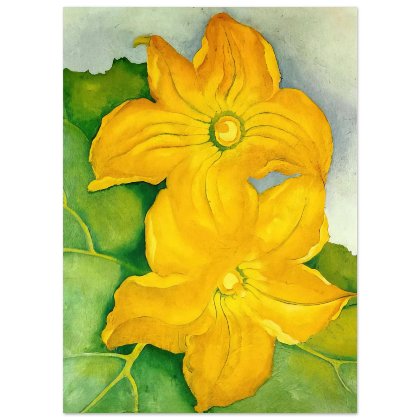 Georgia O'Keeffe - Squash Blossoms I Fine Art Poster