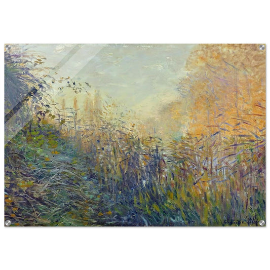 Study Rushes at Argenteuil - claude monet Acrylic Print - 70x100 cm / 28x40″ inches