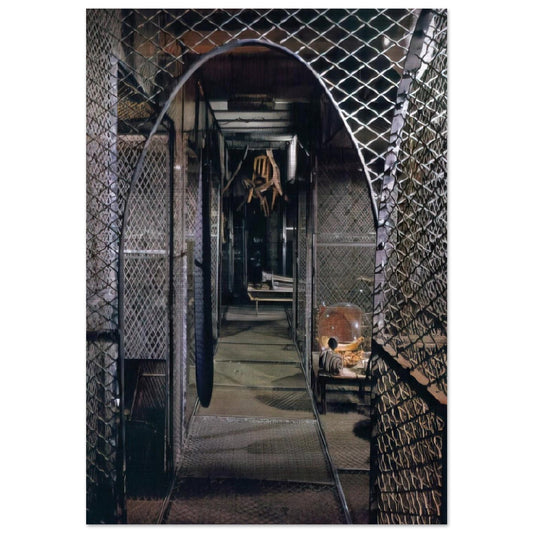 DANGEROUS PASSAGE 1997 - Louise Bourgeois Brushed Aluminum Print - 70x100 cm / 28x40 inches | Louise Bourgeois Aluminum Print | Louise Bourgeois Prints