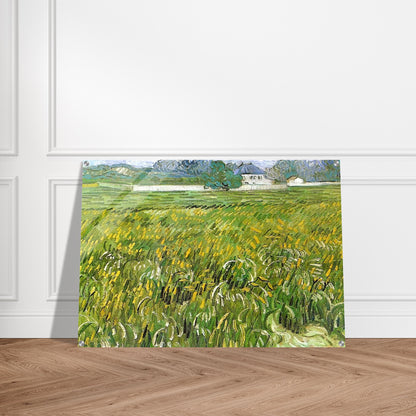 Wheat Field at Auvers with White House - Vincent van Gogh Acrylic Print - 70x100 cm / 28x40″ inches