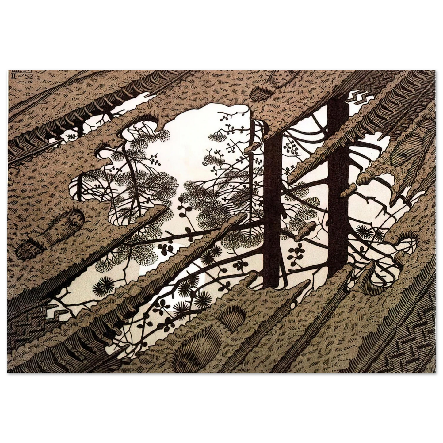 MC Escher - PUDDLE Wall Art - 21x29.7 cm / 8x12" - Premium Wooden Framed Poster With Fine Art Paper - White frame