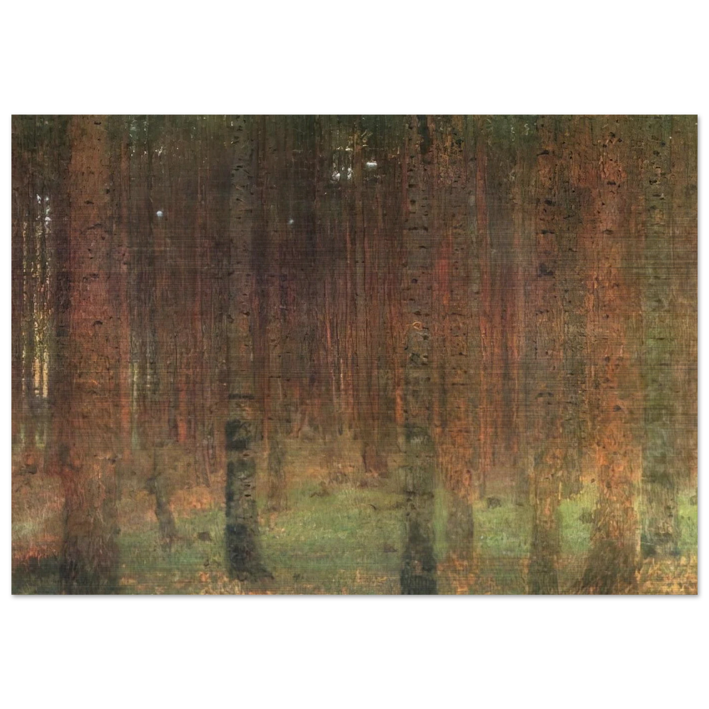 PINE FOREST II - Gustav Klimt Brushed Aluminum Print - 70x100 cm / 28x40 inches | Gustav Klimt Aluminum Print | Gustav Klimt Prints