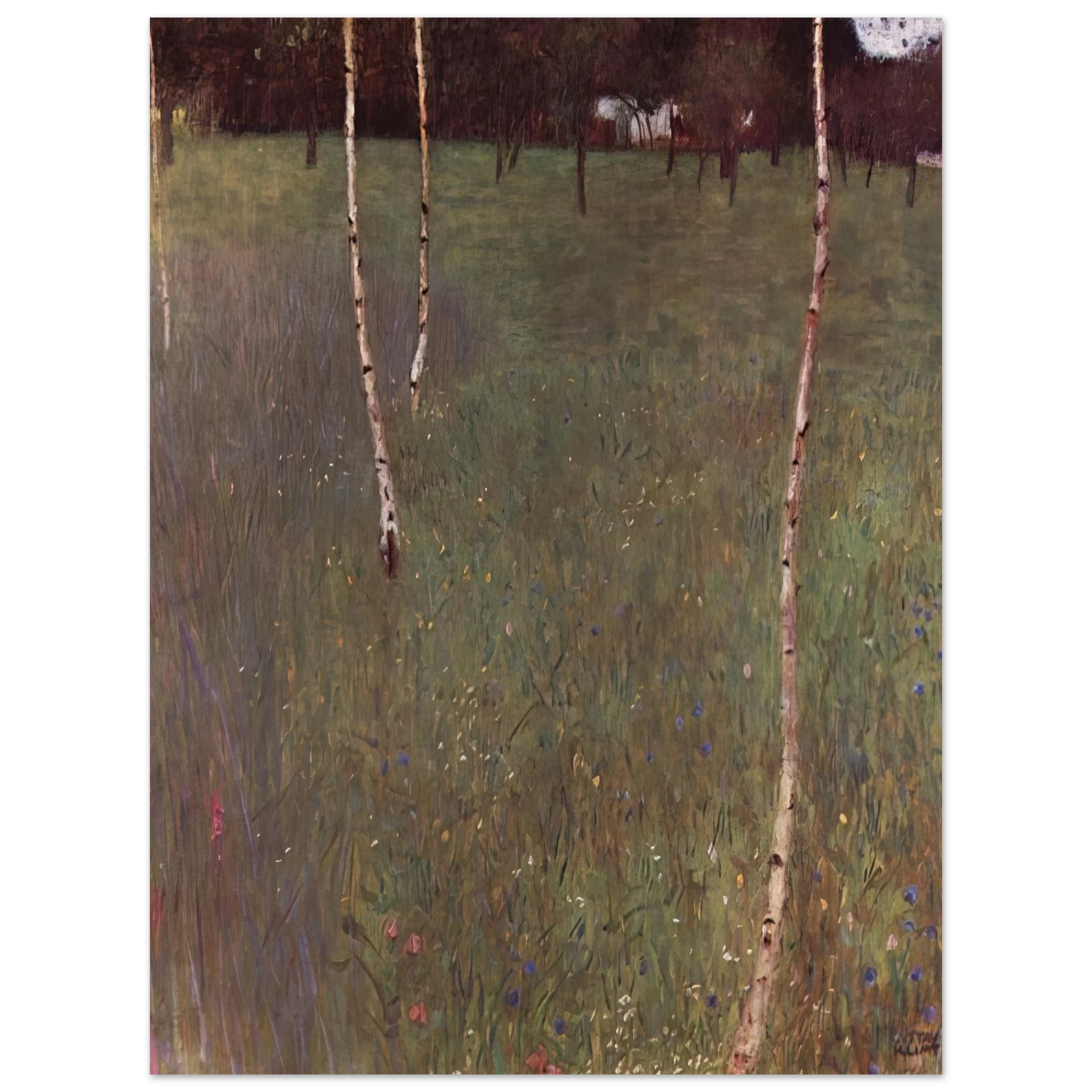 Gustav Klimt - FARMHOUSES WITH BIRCH TREES  75x100 cm / 30x40inches Fine Art Poster