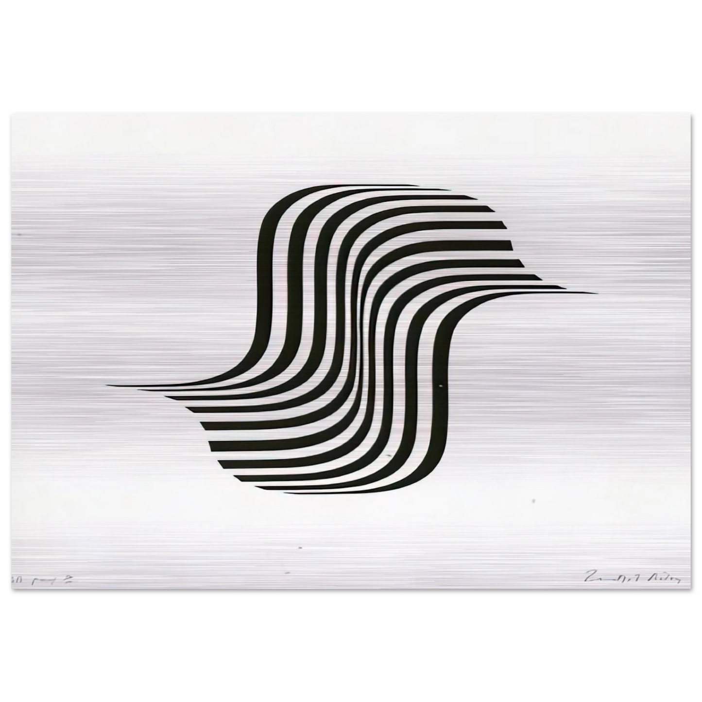 UNTITLED WINGED CURVE 1966 - Bridget Riley Brushed Aluminum Print - 70x100 cm / 28x40 inches | Bridget Riley Aluminum Print | Bridget Riley Prints