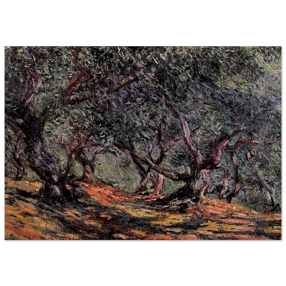 Olive Trees in Bordigher - claude monet Brushed Aluminum Print - 70x100 cm / 28x40 inches | claude monet Aluminum Print | claude monet Prints