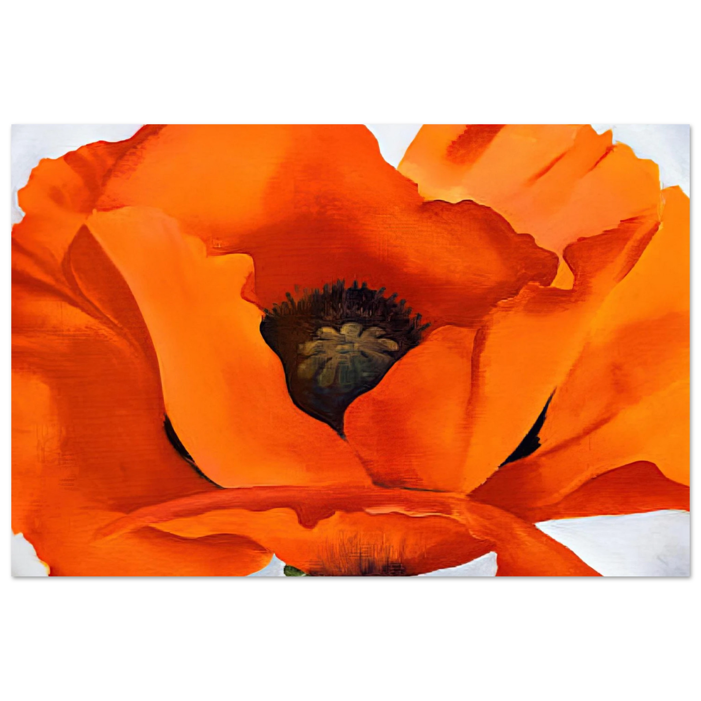 Georgia O'Keeffe - Red Poppy Fine Art Poster