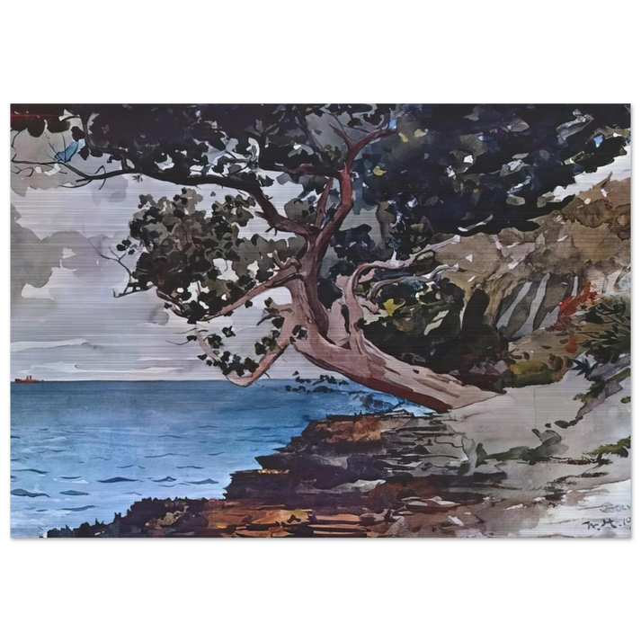NORTH ROAD BERMUDA - Winslow Homer Brushed Aluminum Print - 70x100 cm / 28x40 inches | Winslow Homer Aluminum Print | Winslow Homer Prints