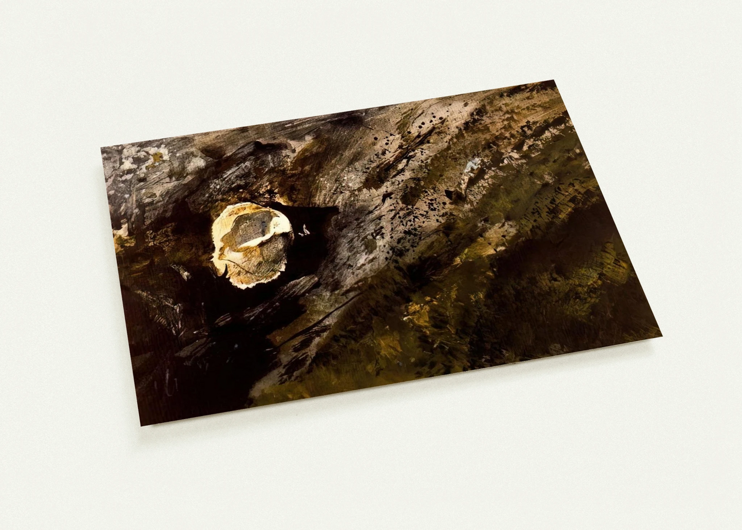 INLAND SHELL By Andrew Wyeth Pack of 10 Post Cards | Andrew Wyeth Post Cards | A6 (10.5 x 14.8 cm) - 4.1 x 5.8 inches