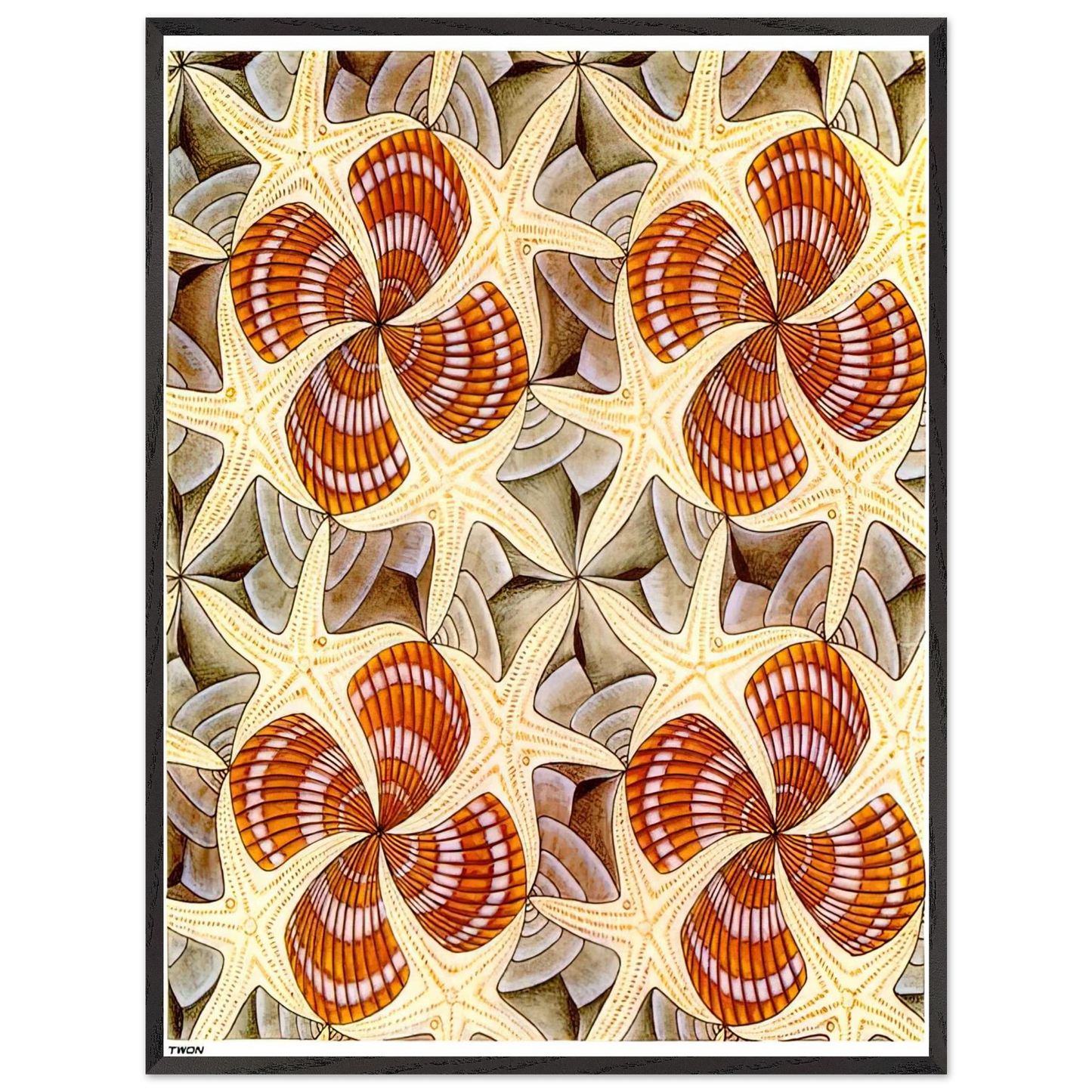 MC Escher - SHELLS AND STARFISH Wall Art - 21x29.7 cm / 8x12" - Premium Wooden Framed Poster With Fine Art Paper - Black frame