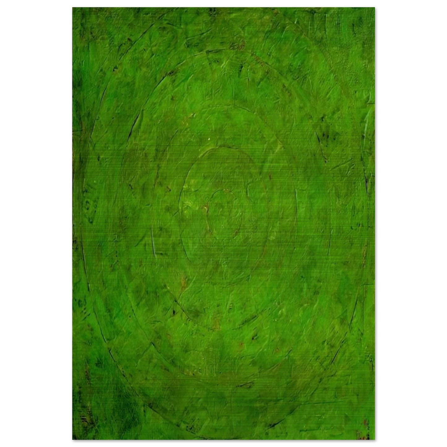 GREEN TARGET - Jasper Johns Brushed Aluminum Print - 70x100 cm / 28x40 inches | Jasper Johns Aluminum Print | Jasper Johns Prints