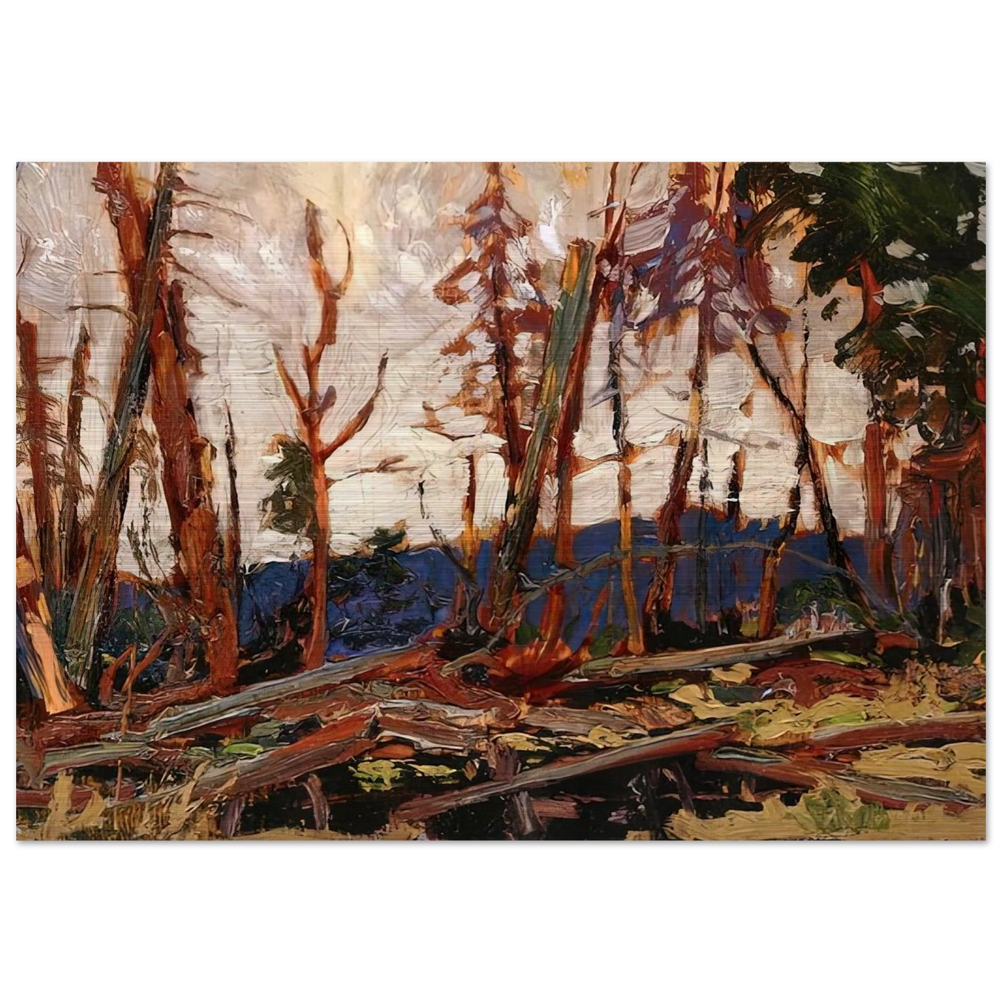 BURNT COUNTRY EVENING SKETCH FOR BURNT LAND 1914 - Tom Thomson Brushed Aluminum Print - 70x100 cm / 28x40 inches | Tom Thomson Aluminum Print | Tom Thomson Prints