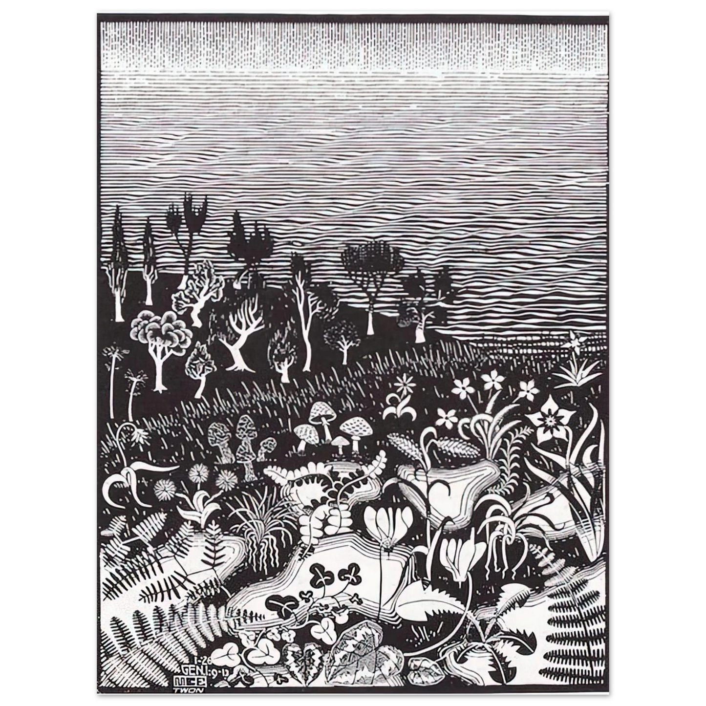 MC Escher - THE 3RD DAY OF THE CREATION Wall Art - 21x29.7 cm / 8x12" - Fine Art Poster-canvas - -