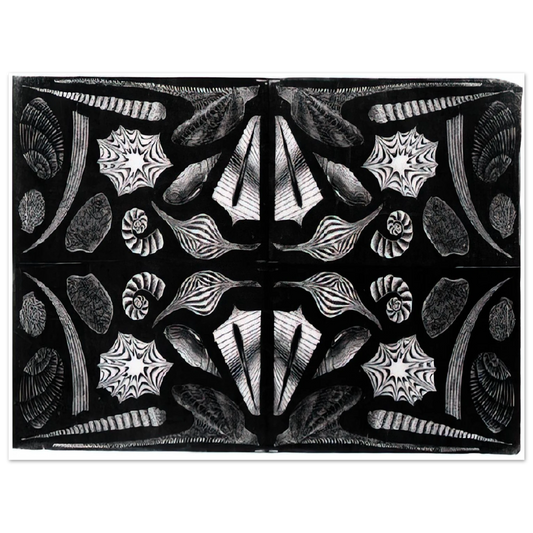 MC Escher - ESCHER (5) Wall Art - 21x29.7 cm / 8x12" - Fine Art Poster-canvas - -