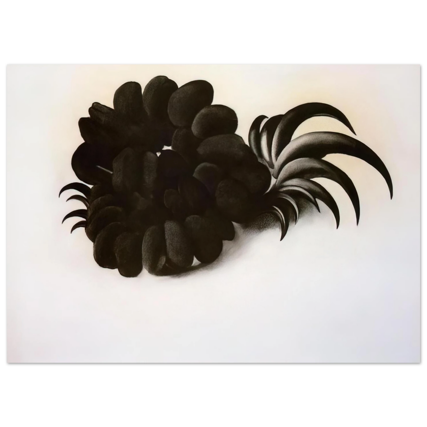 Georgia O'Keeffe - Eagle Claw and Bean Necklace Fine Art Poster