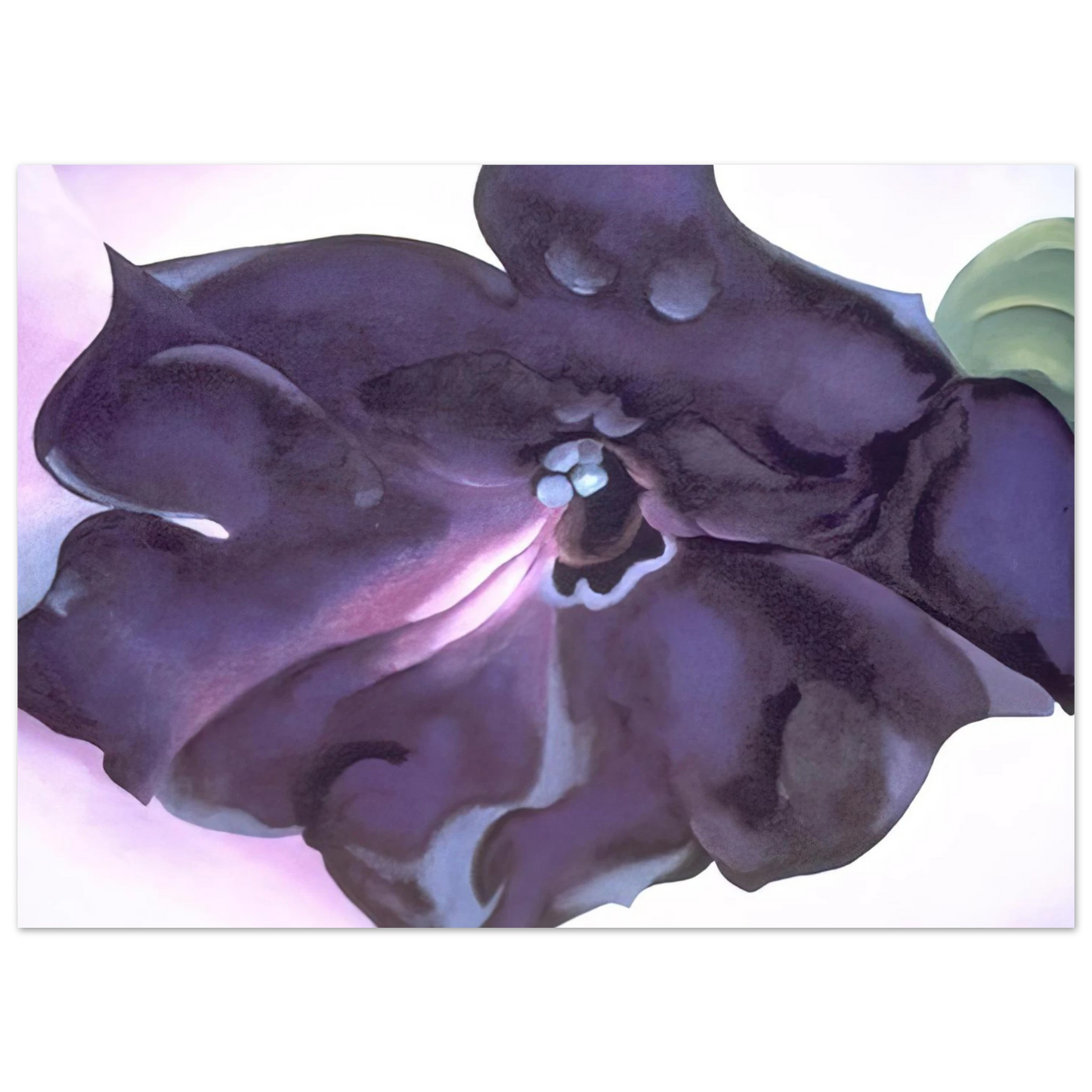 Georgia O'Keeffe - Petunia Fine Art Poster