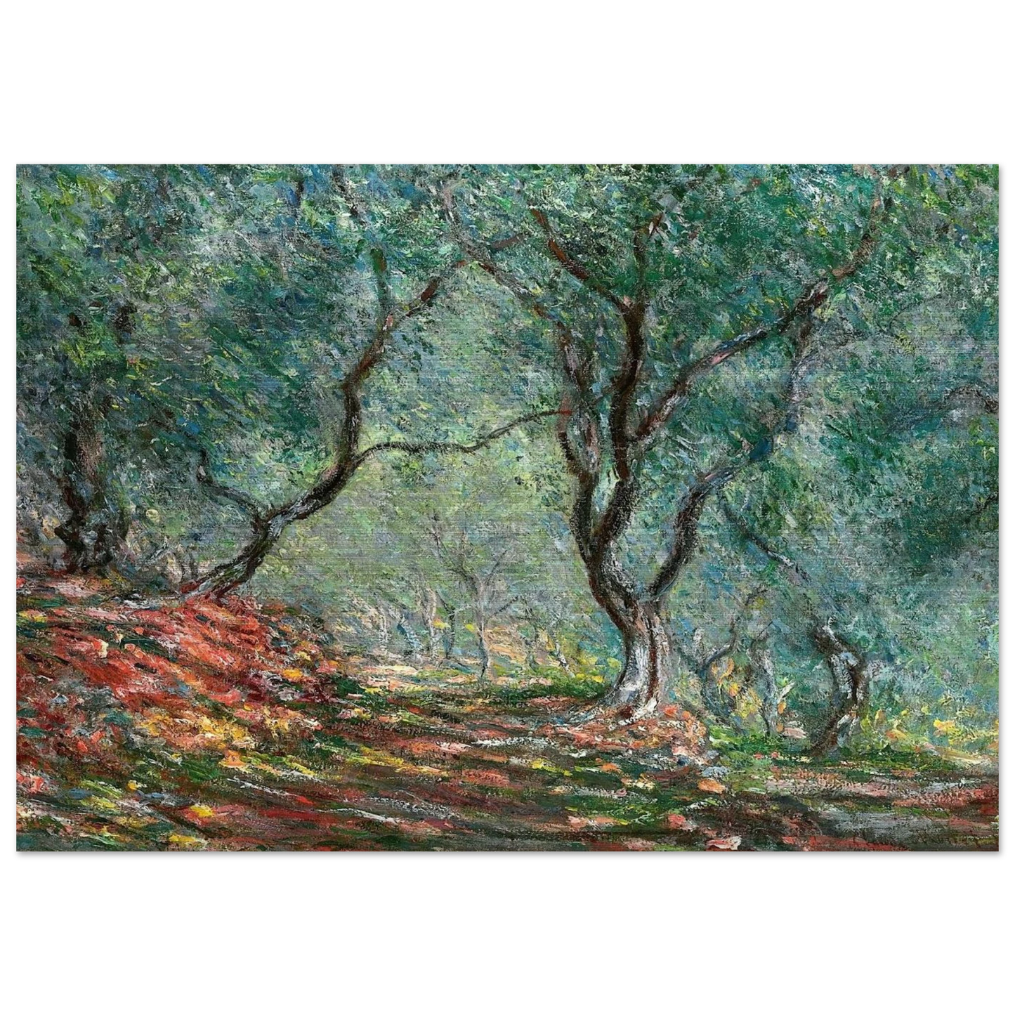 Olive Tree Wood in the Moreno Garden - claude monet Brushed Aluminum Print - 70x100 cm / 28x40 inches | claude monet Aluminum Print | claude monet Prints