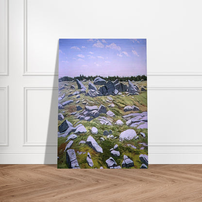 Midday Barren - 1983 - Neil Welliver Brushed Aluminum Print - 70x100 cm / 28x40 inches | Neil Welliver Aluminum Print | Neil Welliver Prints