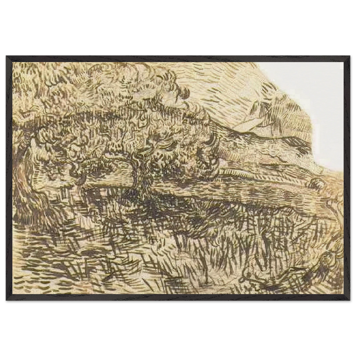 Olive Trees in a Mountain Landscape - Vincent van Gogh 70x100 cm / 28x40 inches Framed Art Print – Black Wooden Frame