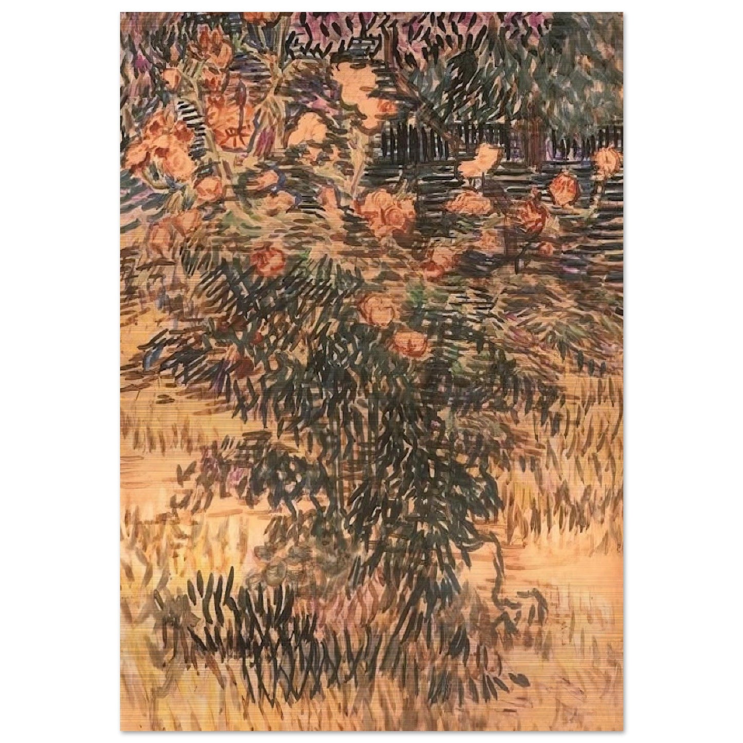 Oleanders, the Hospital Garden at Saint-Remy - Vincent van Gogh Brushed Aluminum Print - 70x100 cm / 28x40 inches | Vincent van Gogh Aluminum Print | Vincent van Gogh Prints