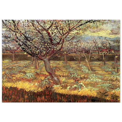 Apricot Trees in Blossom - Vincent van Gogh Brushed Aluminum Print - 70x100 cm / 28x40 inches | Vincent van Gogh Aluminum Print | Vincent van Gogh Prints