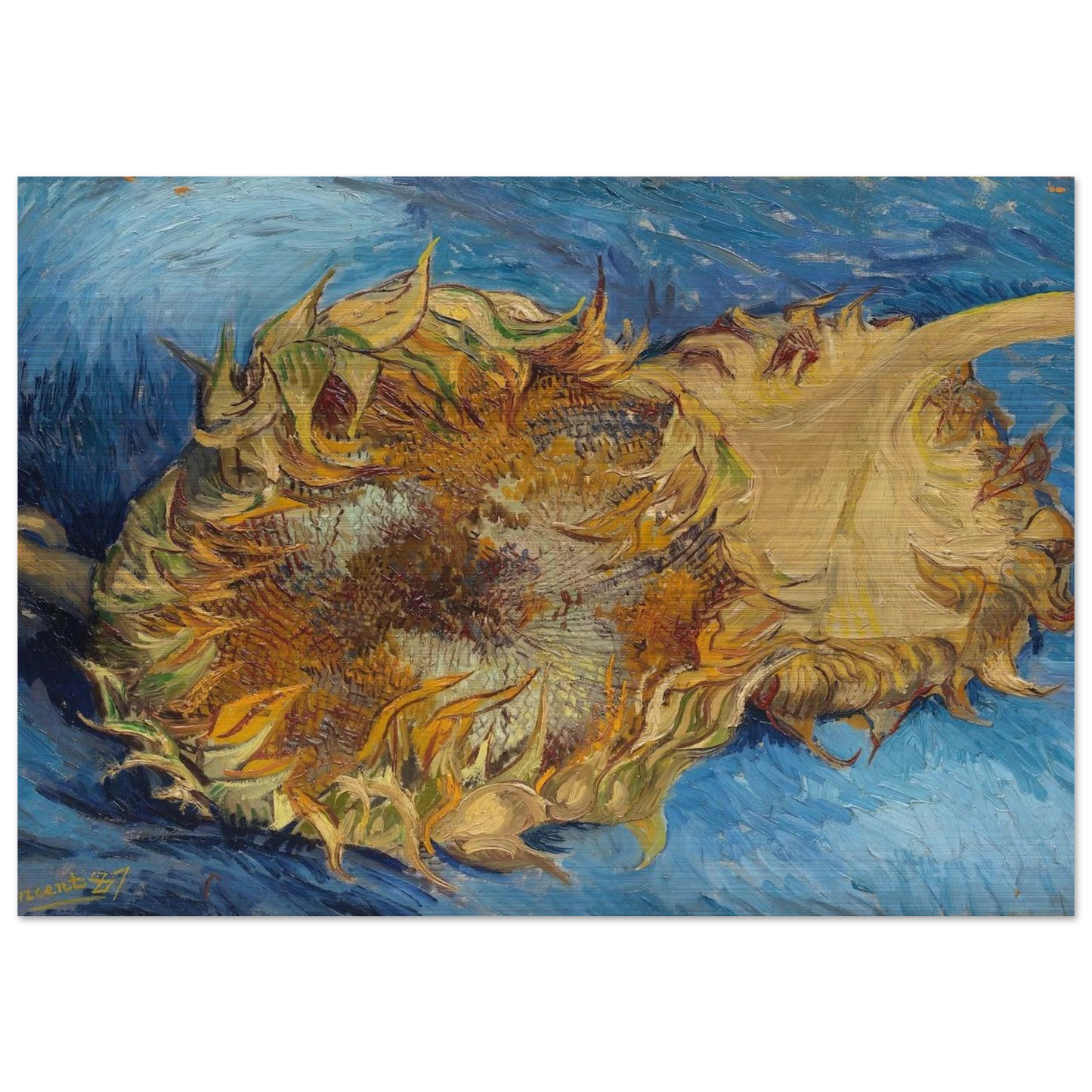 Still Life with Two Sunflowers - Vincent van Gogh Brushed Aluminum Print - 70x100 cm / 28x40 inches | Vincent van Gogh Aluminum Print | Vincent van Gogh Prints