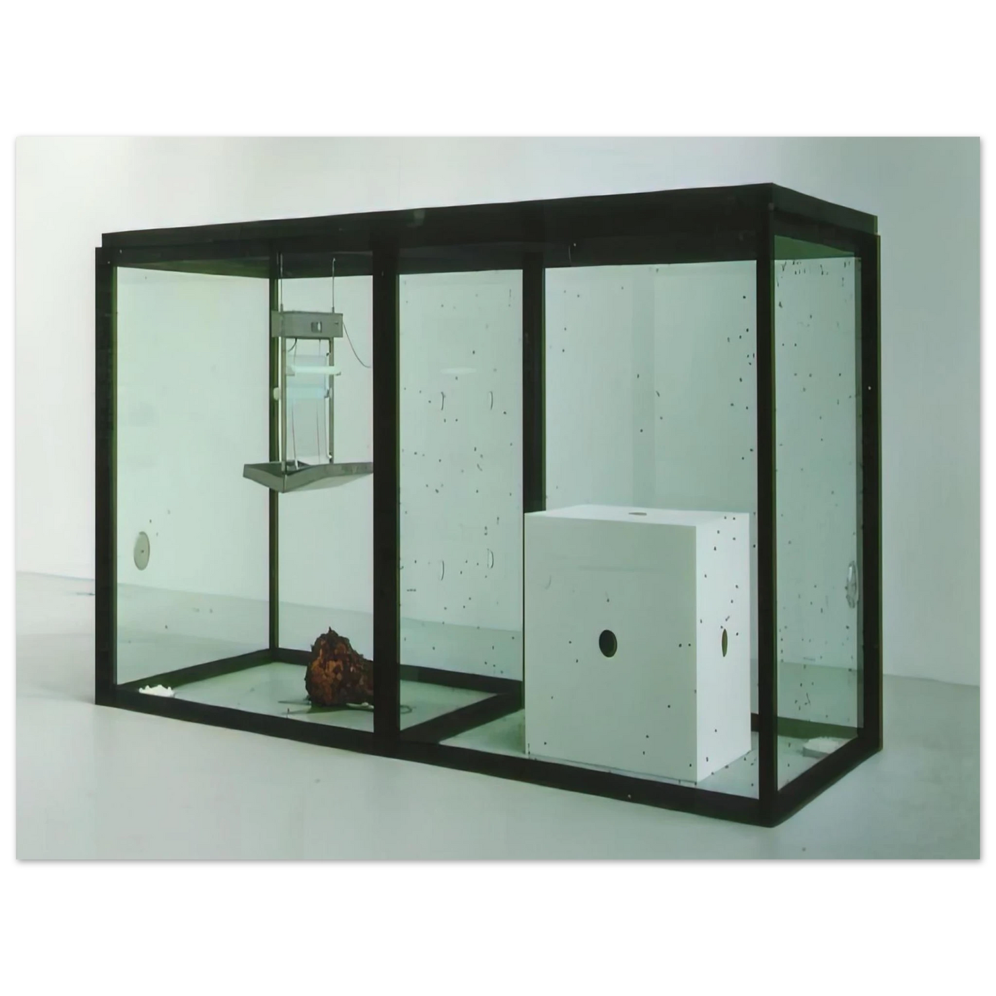 Damien Hirst - A THOUSAND YEARS  75x100 cm / 30x40inches Fine Art Poster