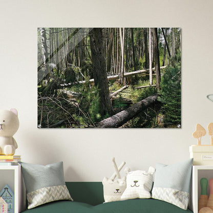 NEAR HUNTERS BEACH ACADIA NATIONAL PARK 2008 - Richard Estes Acrylic Print - 70x100 cm / 28x40″ inches | Richard Estes Wall Art | Richard Estes Prints