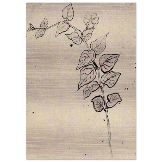 Branch with Leaves - Vincent van Gogh Brushed Aluminum Print - 70x100 cm / 28x40 inches | Vincent van Gogh Aluminum Print | Vincent van Gogh Prints