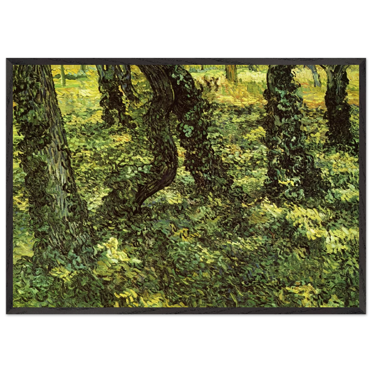 Trunks of Trees with Ivy - Vincent van Gogh 70x100 cm / 28x40 inches Framed Art Print – Black Wooden Frame