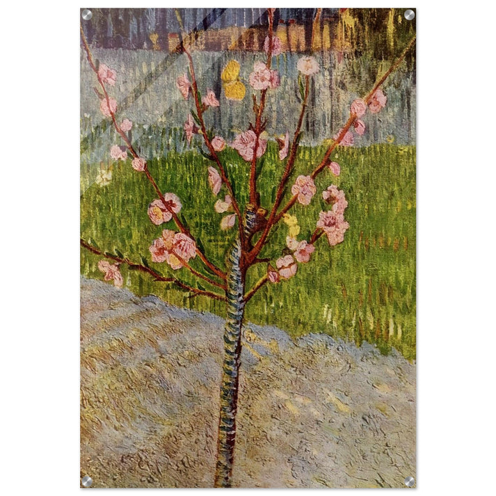 Almond Tree in Blossom - Vincent van Gogh Acrylic Print - 70x100 cm / 28x40″ inches