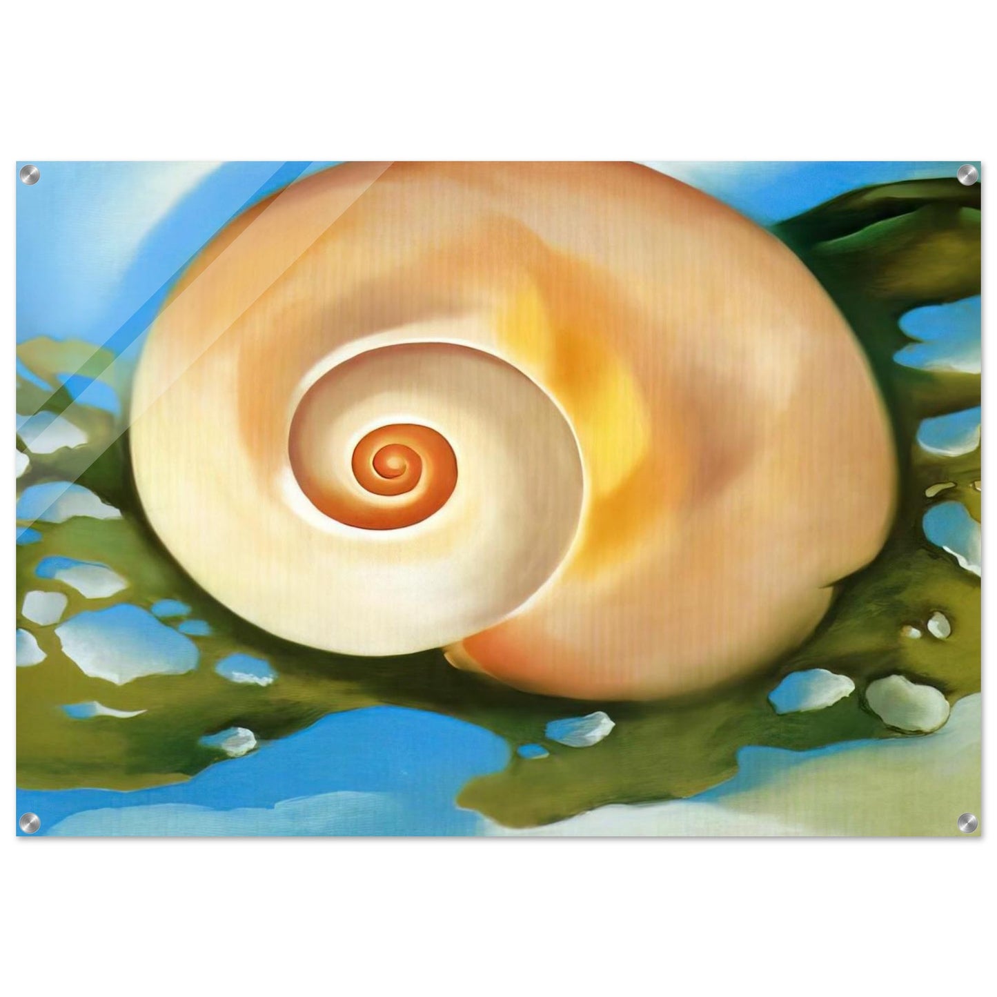Pink Shell with Seaweed - Georgia O'Keeffe Acrylic Print - 70x100 cm / 28x40″ inches