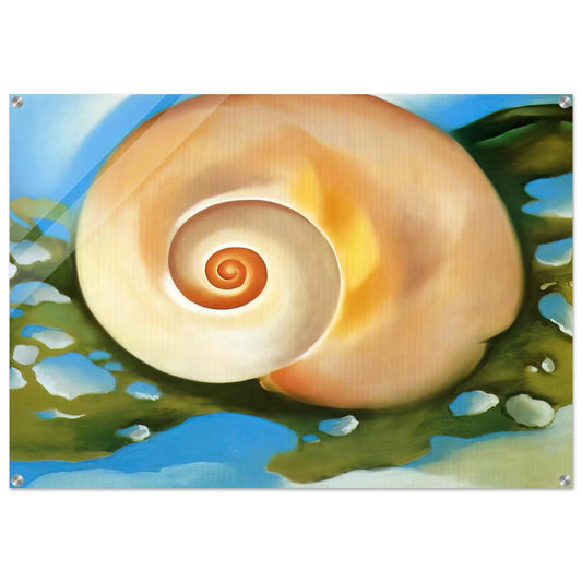 Pink Shell with Seaweed - Georgia O'Keeffe Acrylic Print - 70x100 cm / 28x40″ inches