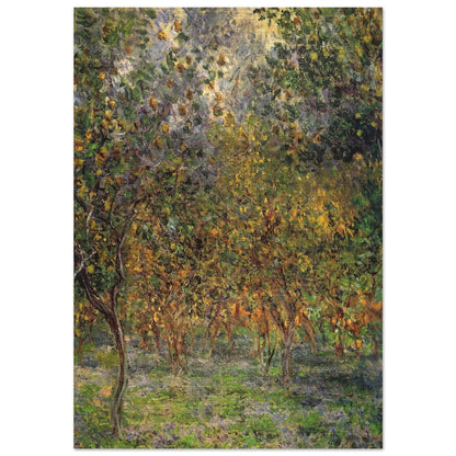 Under the Lemon Trees - claude monet Brushed Aluminum Print - 70x100 cm / 28x40 inches | claude monet Aluminum Print | claude monet Prints