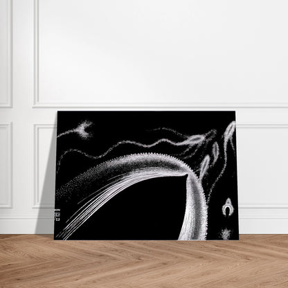 DOLPHINS - MC Escher Brushed Aluminum Print - 70x100 cm / 28x40 inches | MC Escher Aluminum Print | MC Escher Prints