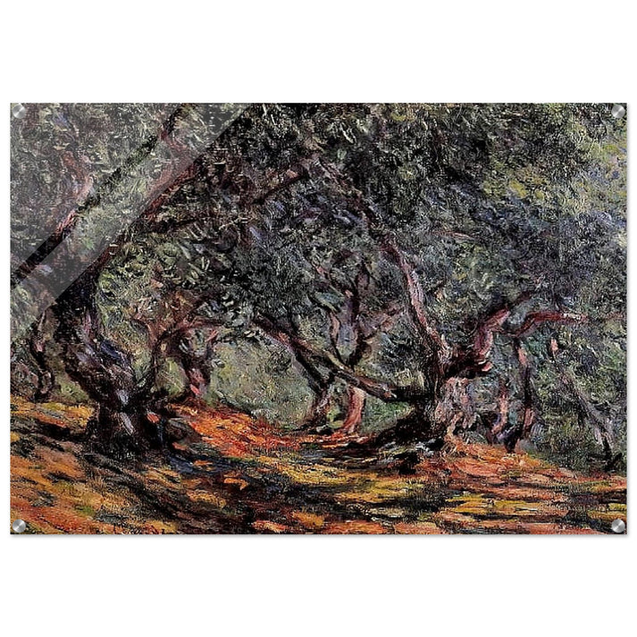 Olive Trees in Bordigher - claude monet Acrylic Print - 70x100 cm / 28x40″ inches | claude monet Wall Art | claude monet Prints