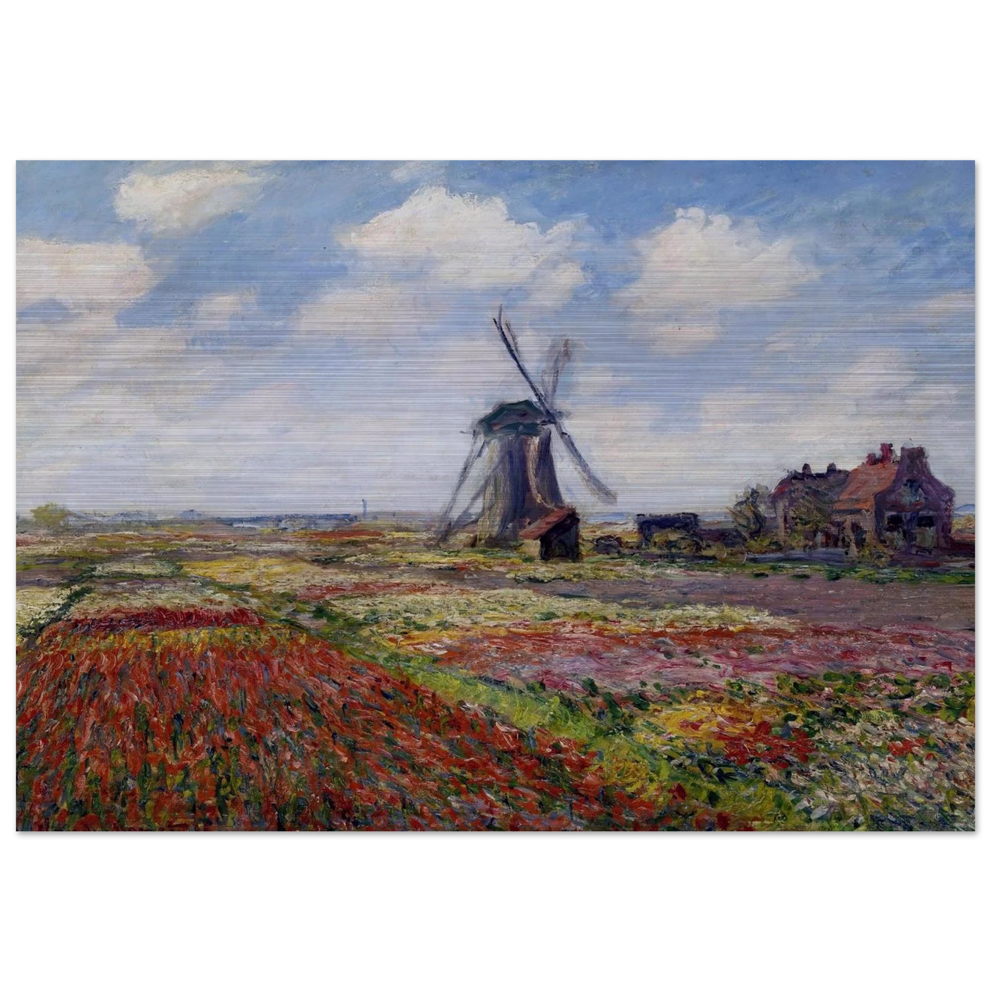 Fields of Tulip With The Rijnsburg Windmill - claude monet Brushed Aluminum Print - 70x100 cm / 28x40 inches | claude monet Aluminum Print | claude monet Prints